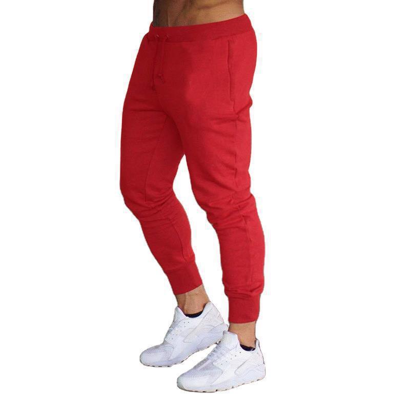 Fitness Shark Sports Pants